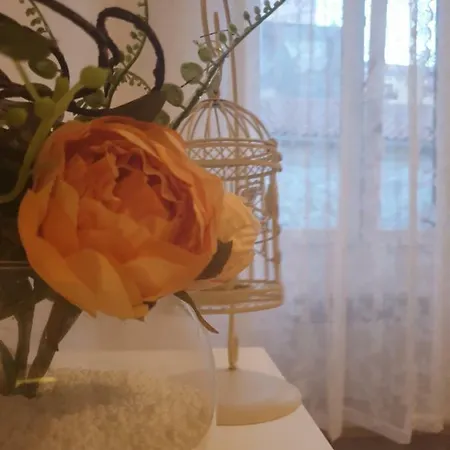 Stella Charm&history United Apartment