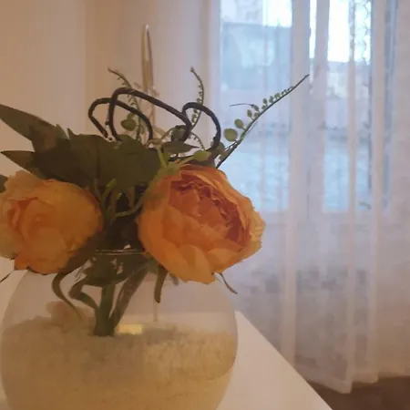 Stella Charm&history United Apartment